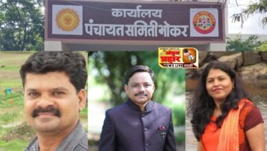 Photo of भोकर पंचायत समिती अंतर्गत आदर्श ग्रामसेवक पुरस्कारासाठी ७ जणांचे प्रस्ताव सादर